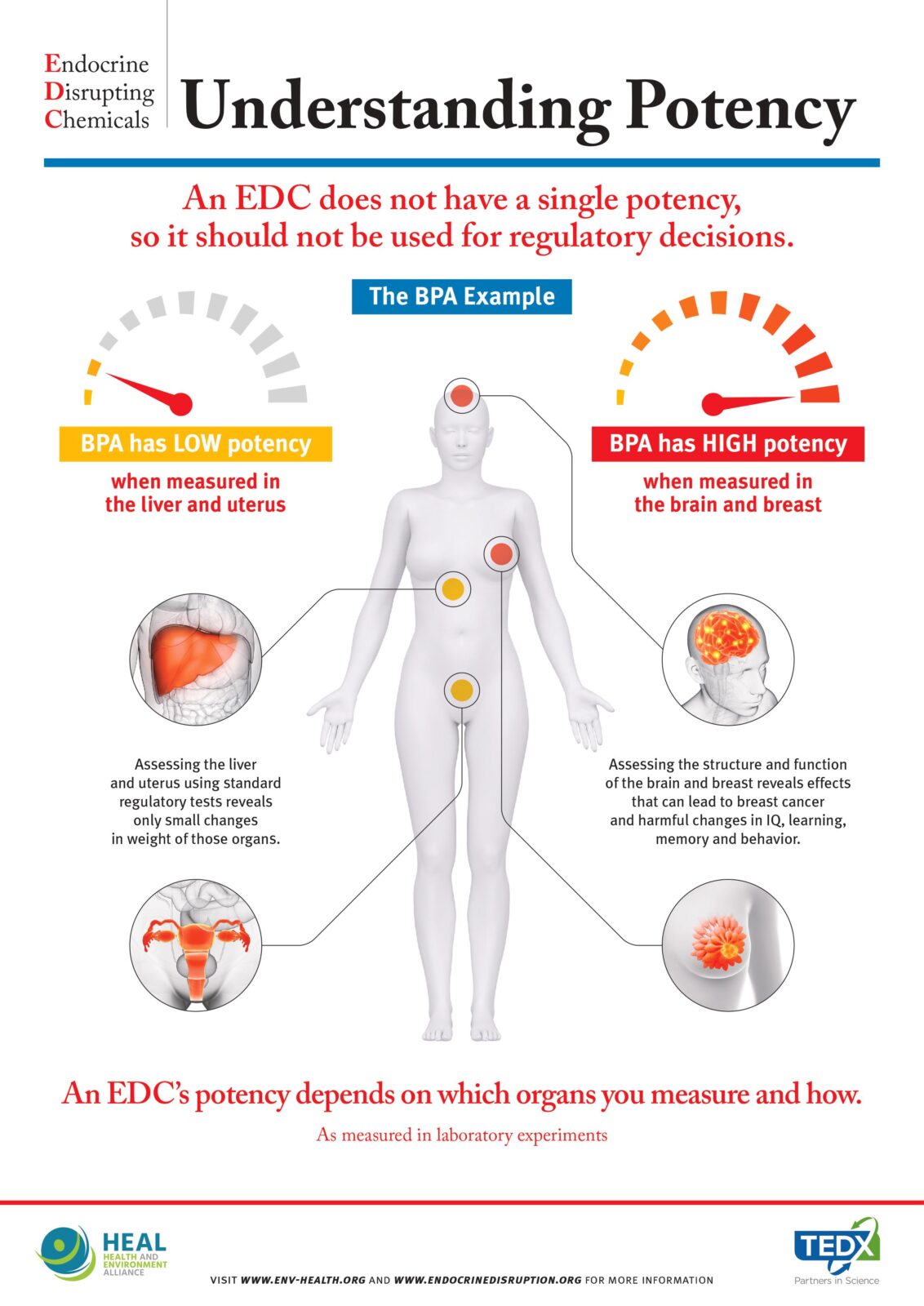 Health And Environment Alliance Infographic More Than One Potency