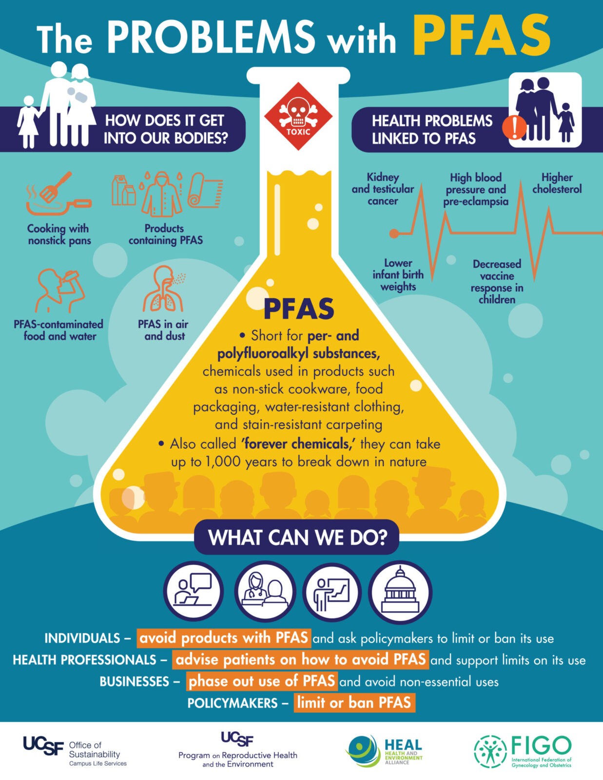 Health and Environment Alliance  How PFAS chemicals affect women,  pregnancy and human development: Health actors call for urgent action to  phase them out