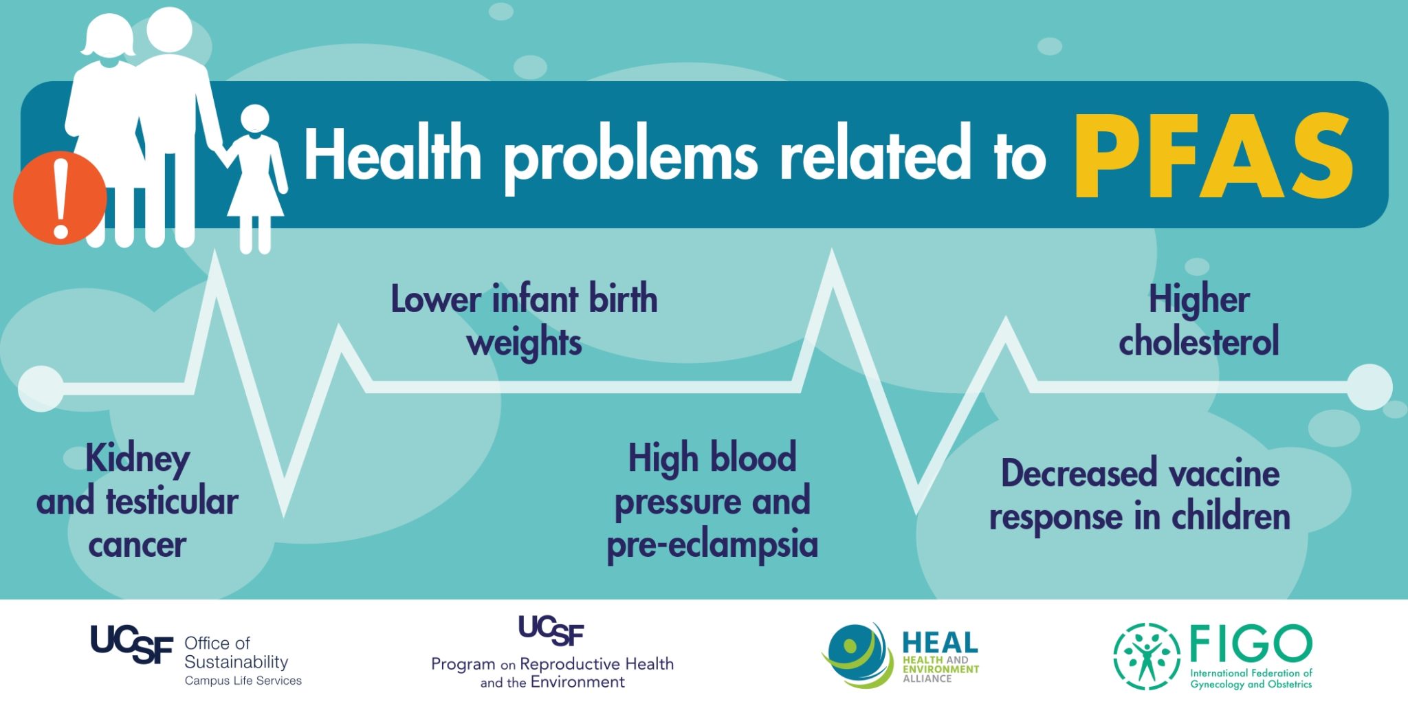 Health And Environment Alliance How Pfas Chemicals Affect Women